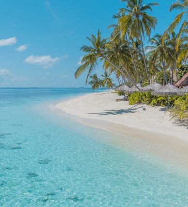 moosa-haleem-758Km8MAcyI-unsplash